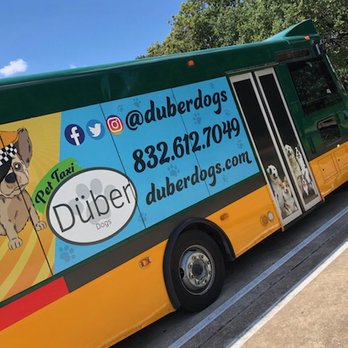 Doobie Dogs - Picking up some pups - Pet Transportation Near Me Doobie Dogs - Picking up some pups - Pet Transportation Near Me
