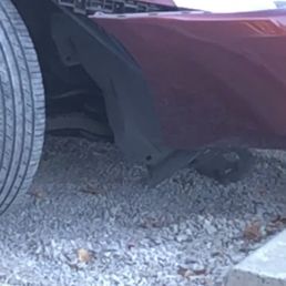Before (damage from bumper catching on curb and backing up without realizing) Before (damage from bumper catching on curb and backing up without realizing)
