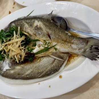 Kevin's Kitchen - Tasty, steamed fish for a premium price. - Hong Kong Style Cafe Near Me - Honolulu, Hawaii