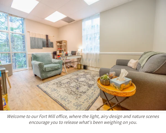 Palmetto Counseling & Consulting - grief counselor in Fort Mill, SC