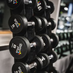 Gym Plus Swords