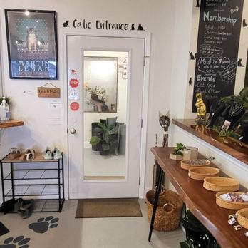 Kona Kat Cafe - Pet Adoption Near Me - Kailua-Kona, Hawaii