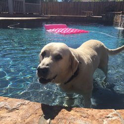 Our favorite swimmer is happy too!