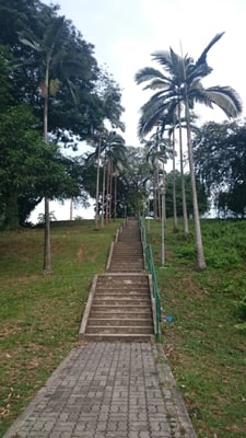 Mount Emily Park by null