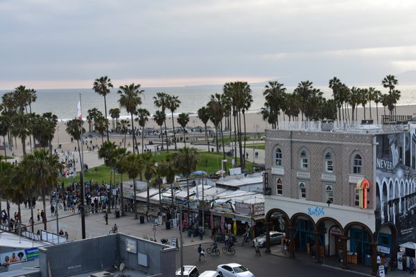 Samesun Venice Beach by null