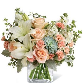 Lena's Flowers & Gifts - WHAT WAS ORDERED - Florists Near Me - Gilbert, Arizona Lena's Flowers & Gifts - WHAT WAS ORDERED - Florists Near Me - Gilbert, Arizona