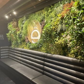 L'Orygine - Interior green wall - Bistros Near Me - Quebec City, Quebec L'Orygine - Interior green wall - Bistros Near Me - Quebec City, Quebec
