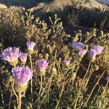 Dante's View - Hiking Near Me - Death Valley Junction, California