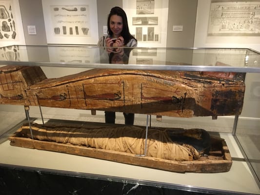 Fleming Museum of Art by null