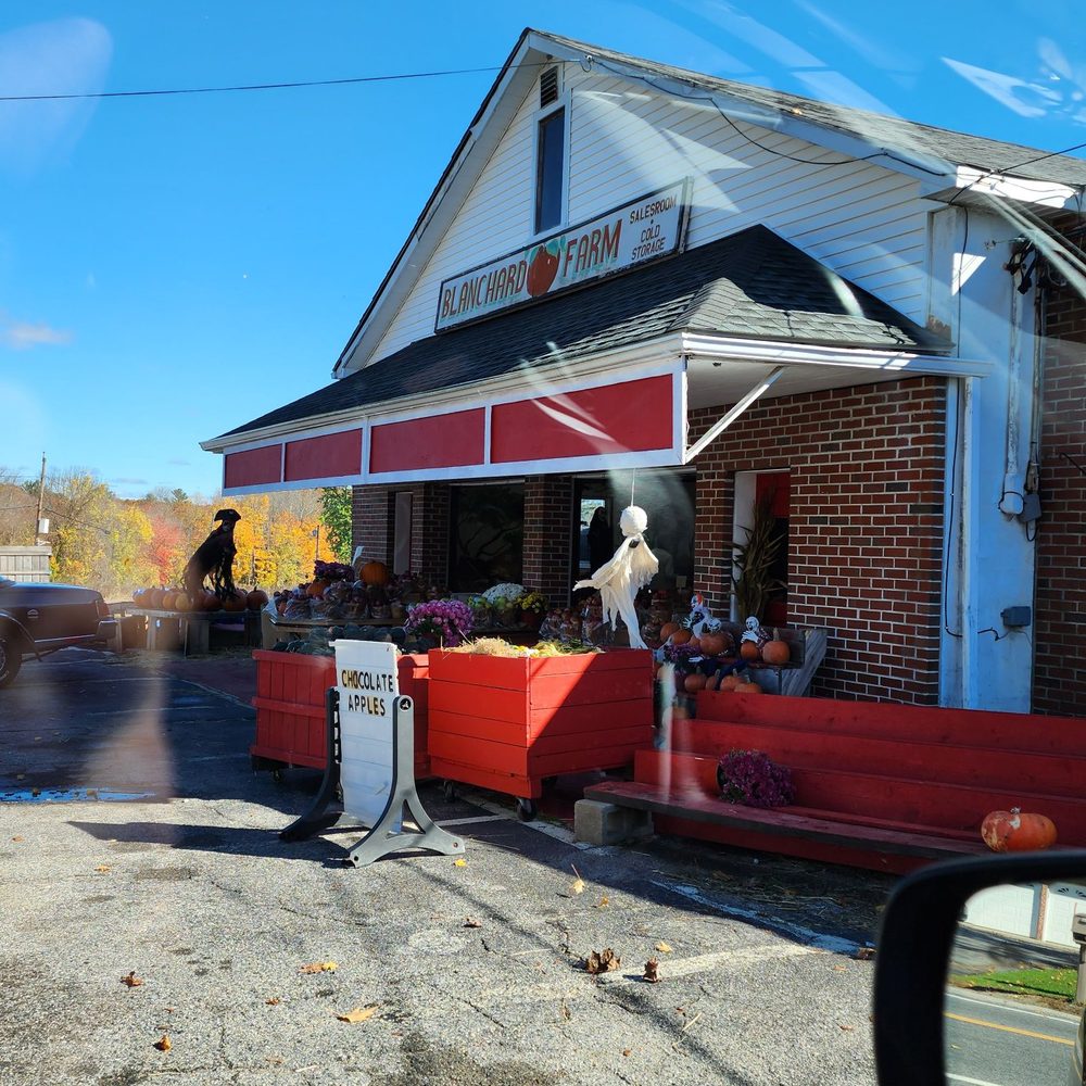 Blanchard Stand - a pelican sitting on a red bench in front of a red and white building - Fruits & Veggies Near Me - North Scituate, Rhode Island