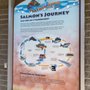 Photo of Feather River Fish Hatchery