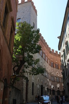 Palazzo Chigi Saracini by null