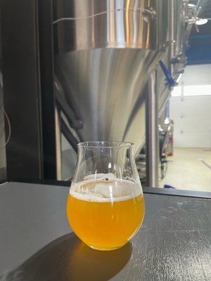 Wayward Lane Brewing by null