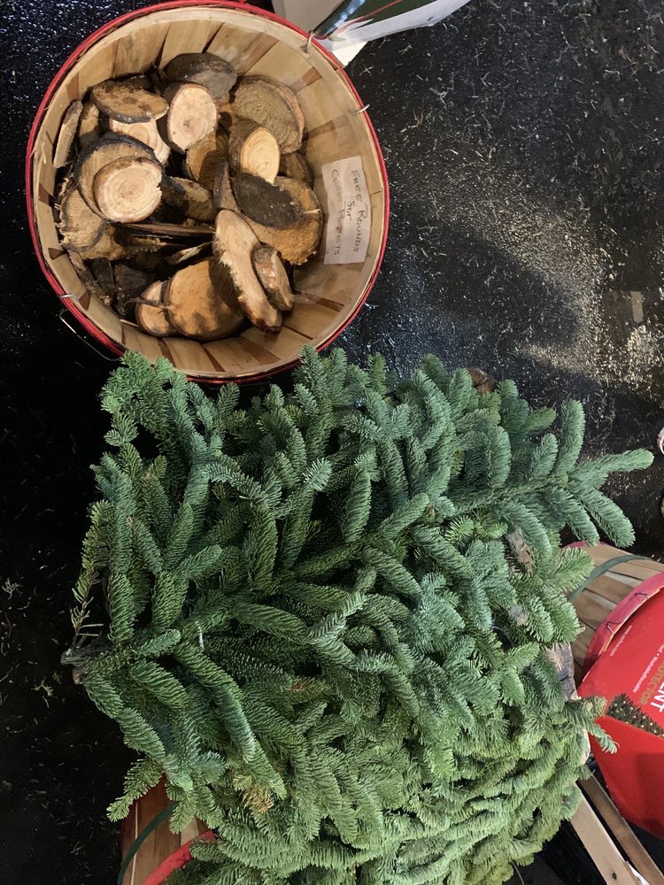 CLANCY’S CHRISTMAS TREES Updated August 2024 2101 Sloat Blvd, San