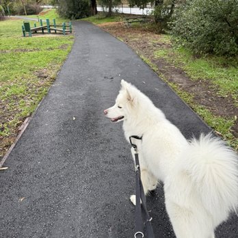 Hillcrest Park - Repaved walking path...no more tree roots to trip you - Parks Near Me - Concord, California