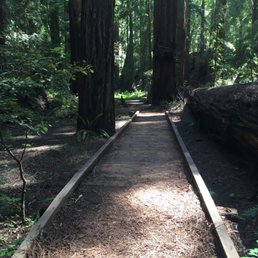 Easy to walk paths make this a pleasant short hike-you can focus on the scenery rather than navigating a difficult trail.