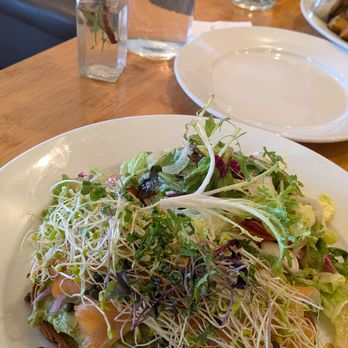 Bloom - Avocado toast with salad - American Near Me - Santa Clara, California