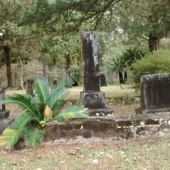 Laurel Grove Cemetery - Funeral Services & Cemeteries Near Me - Waldo, Florida