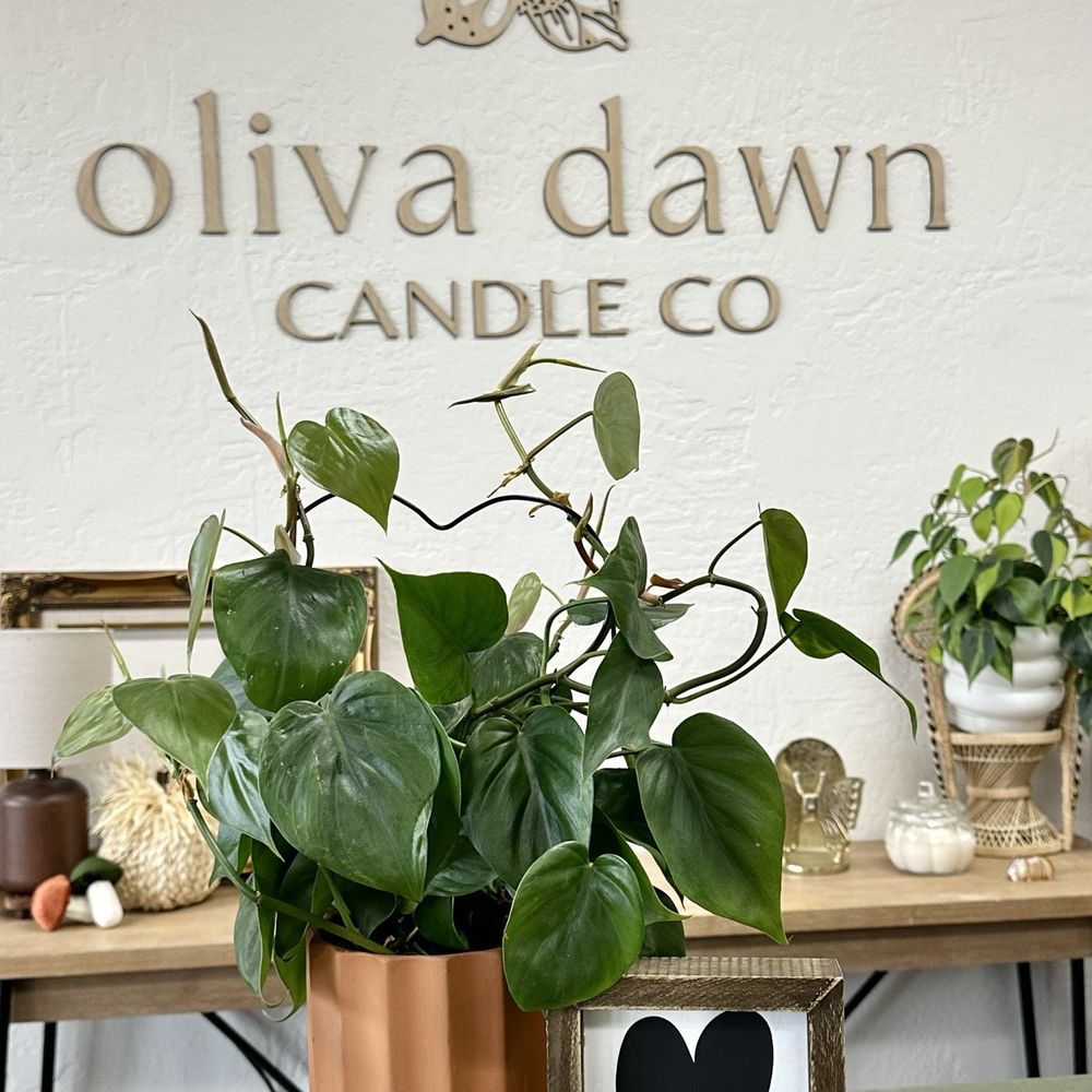 Oliva Dawn Candles Co - Candle Stores Near Me - Escalon, California Oliva Dawn Candles Co - Candle Stores Near Me - Escalon, California