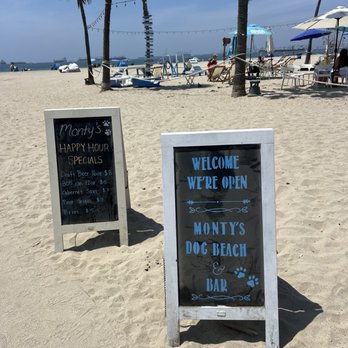Rosie's Dog Beach - Dog Parks Near Me - Long Beach, California Rosie's Dog Beach - Dog Parks Near Me - Long Beach, California