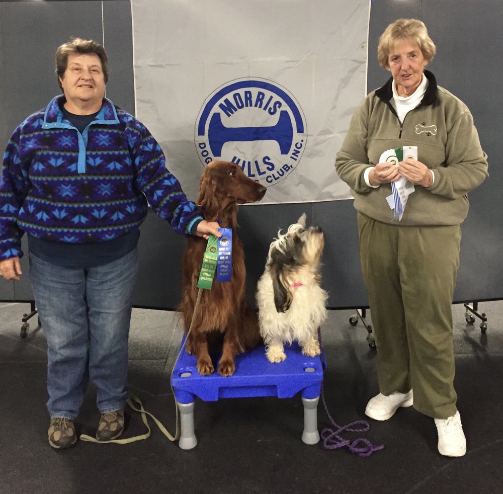 ALLEN’S KENNEL Updated August 2024 12 Photos & 16 Reviews 116