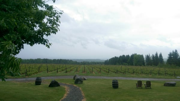 Domaine Les Brome / Léon Courville, winemaker by null