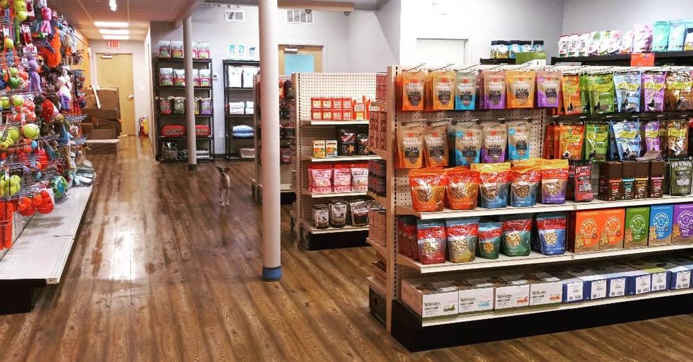 BUSY PAWS PET SUPPLY Updated May 2024 311 Washington St, Westwood