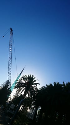 The Bell Tower by null