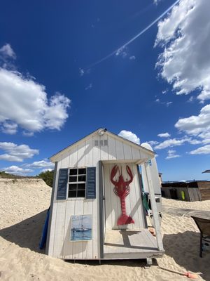 Ocean House by null