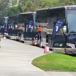 Lux Bus America - Charter Bus - All lined up, and ready to roll!