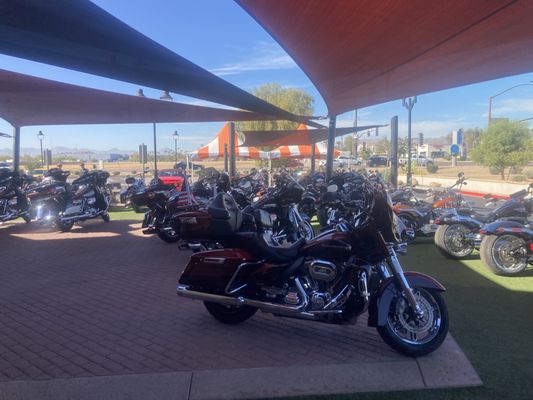 Harley Davidson Chandler Az Wallpaper For Iphone