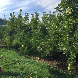 Geig's Orchard