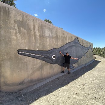 Berlin Ichthyosaur State Park - Parks Near Me - Austin, Nevada