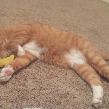 Fallbrook Animal Sanctuary - Animal Shelters Near Me - Fallbrook, California