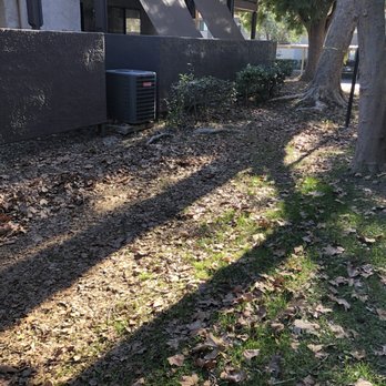 Connor's Landscape - Uncollected rubbish - Irrigation Near Me