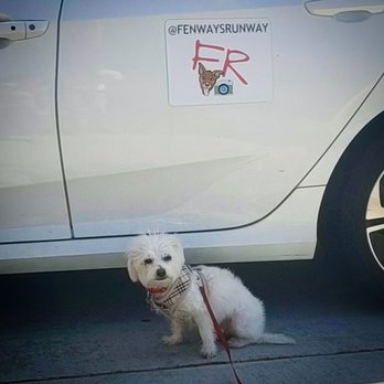 Fenway's Runway - So grateful!! - Dog Walkers Near Me Fenway's Runway - So grateful!! - Dog Walkers Near Me