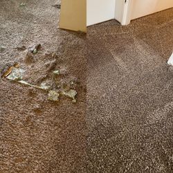 Davis Woodland Carpet Care - Your basic "Dog trapped in a room" repair