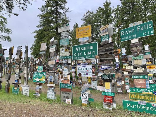 Sign Post Forest by null