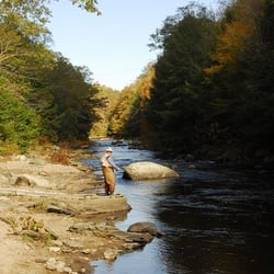 Salmon River State Forest