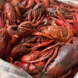 Village Grocery and Deli - Crawfish  yummm