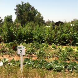 San Diego Organic Farms