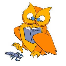 LiceWise