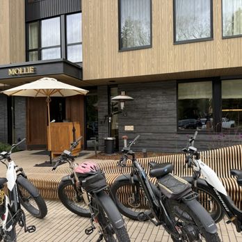 MOLLIE Aspen - Hotels Near Me - Aspen, Colorado MOLLIE Aspen - Hotels Near Me - Aspen, Colorado