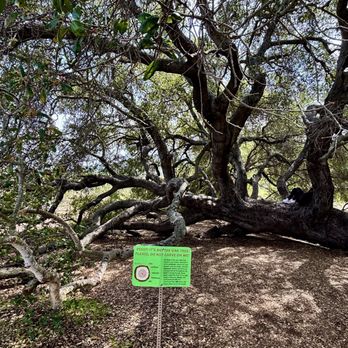 North Fortuna Summit - Hiking Near Me - San Diego, California