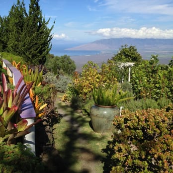 Ali'i Kula Lavender - Tours Near Me - Kula, Hawaii Ali'i Kula Lavender - Tours Near Me - Kula, Hawaii