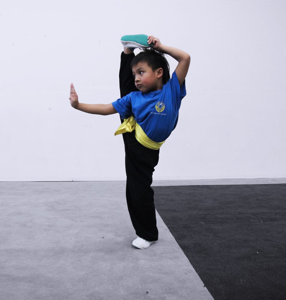 Summit Wushu Academy Logo