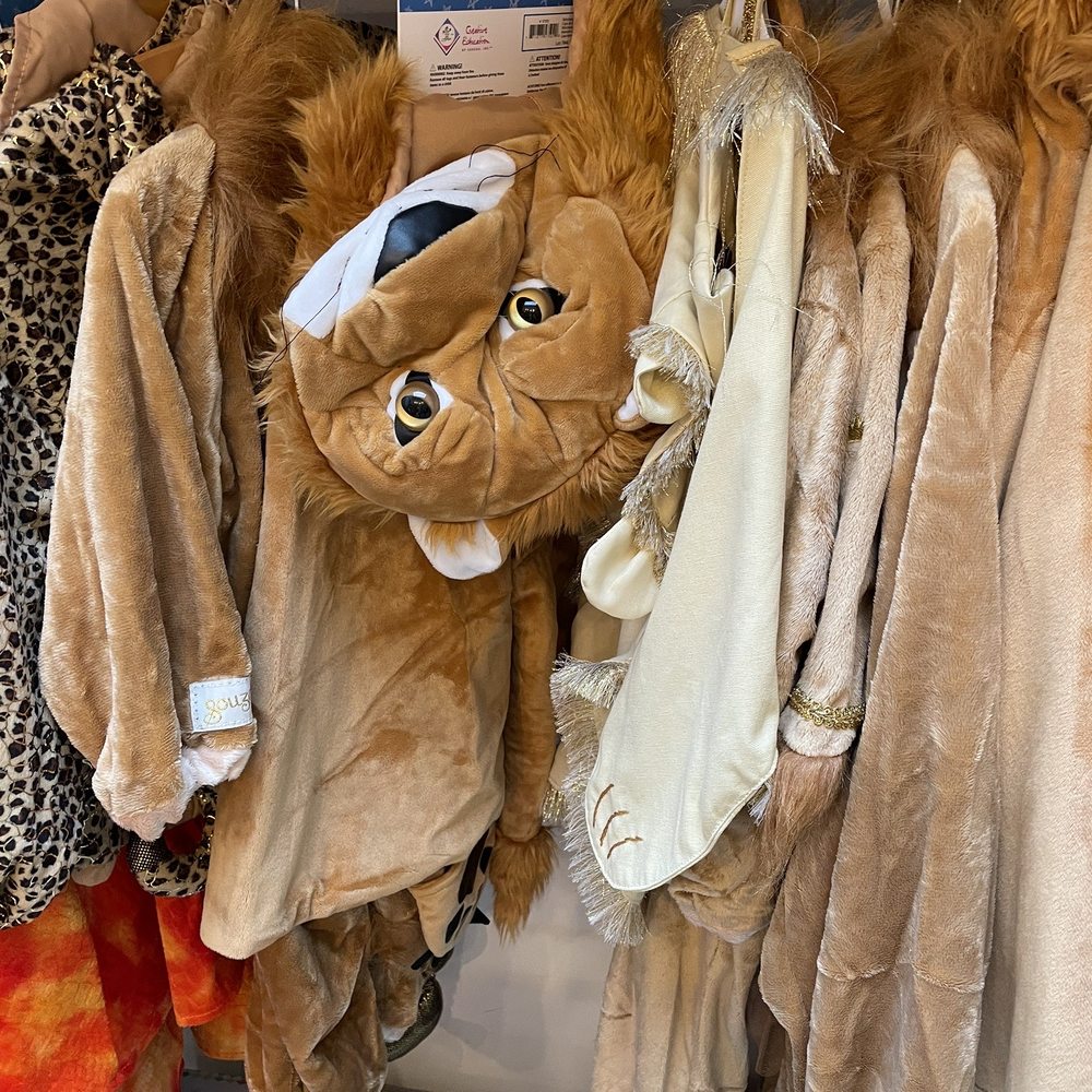 De Kinderfeestwinkel - Again, the quality costumes! - Party Supplies Near Me - Amsterdam, New Hampshire
