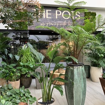 The Pots Cafe - Cafes Near Me - Boca Raton, Florida