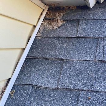 Cloverleaf Pest Control - Pest Control Near Me - Minneapolis, Minnesota Cloverleaf Pest Control - Pest Control Near Me - Minneapolis, Minnesota