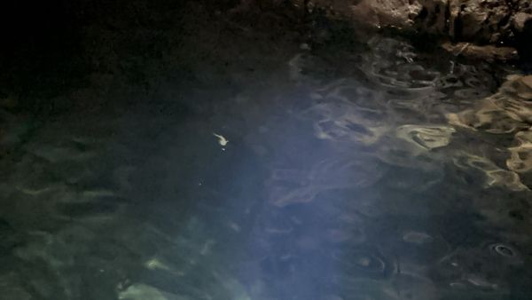 Grotta dello Smeraldo by null